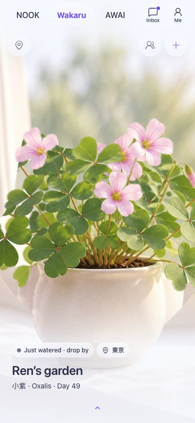 The Wakaru screen in Mofuniwa with example content: Ren’s oxalis garden with pink flowers, recently watered and open for a visit