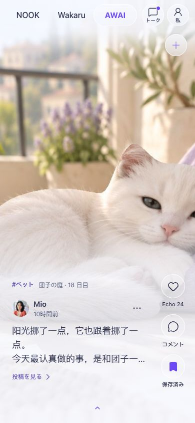 Mofuniwa の AWAI 画面（サンプル）：猫の写真が付いた投稿と、右側の Echo、コメント、保存の操作