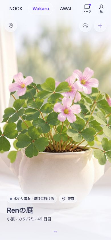 Mofuniwa の Wakaru 画面（サンプル）：ピンクの花が咲く Ren のカタバミの庭と、水やり済みで遊びに行ける状態